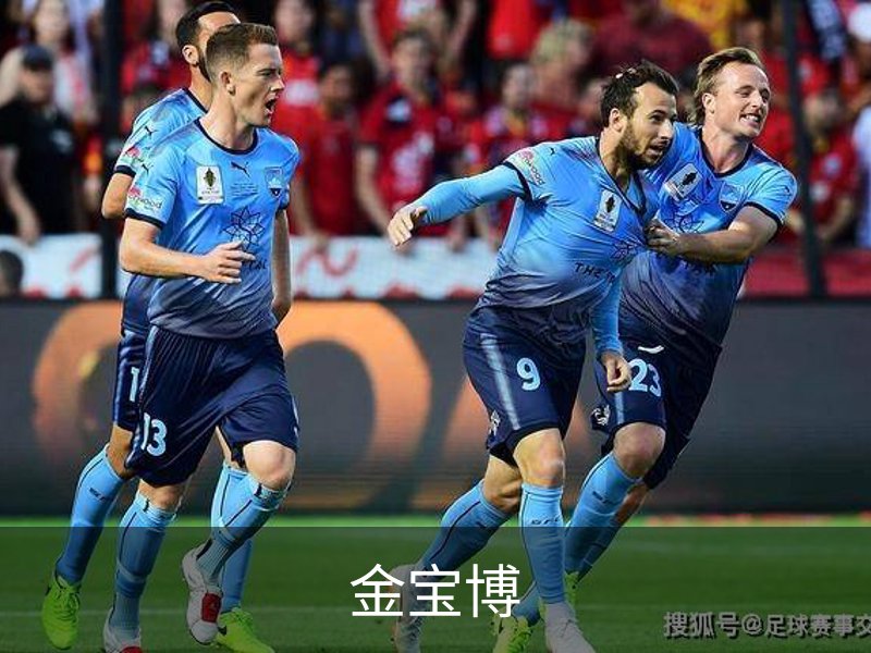 金宝博介绍