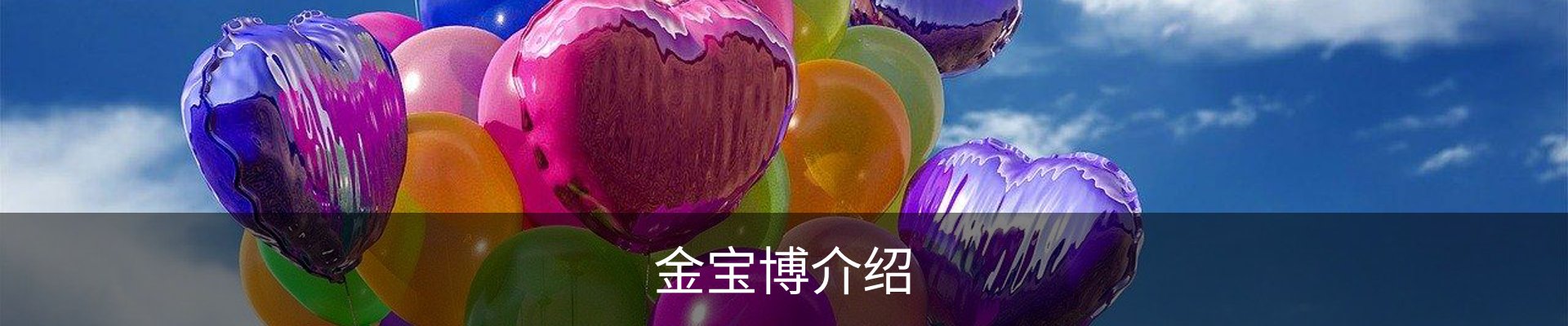 金宝博介绍